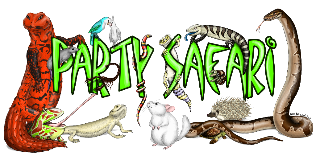 party safari banner