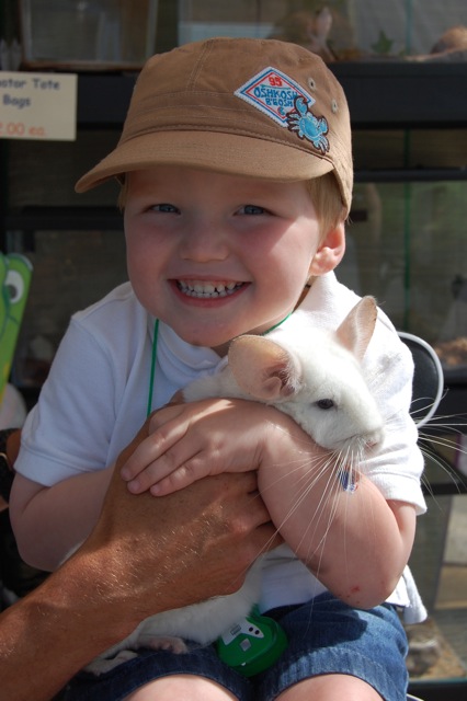 Boy holding Chinchilla