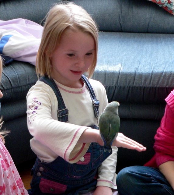 Bird perching on pupil's hand